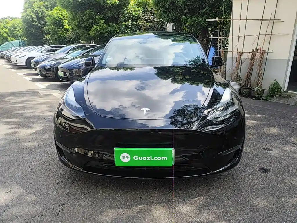 Tesla Model Y — миниатюра 3