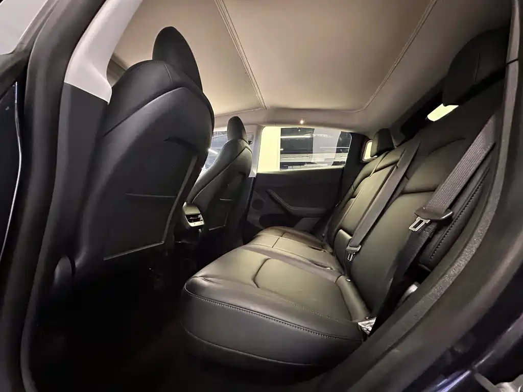 Tesla Model Y — миниатюра 15