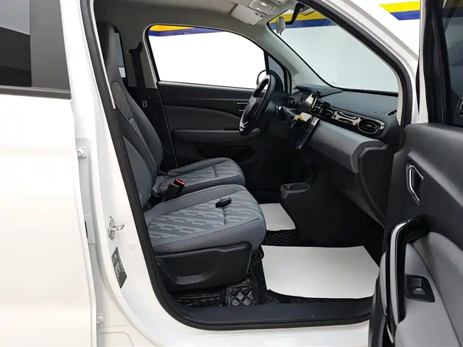 Leapmotor T03 2025 310