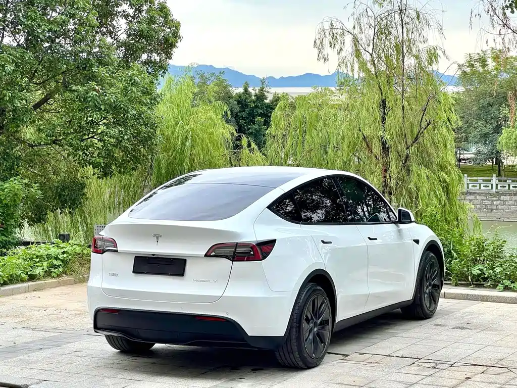 Tesla Model Y — миниатюра 9