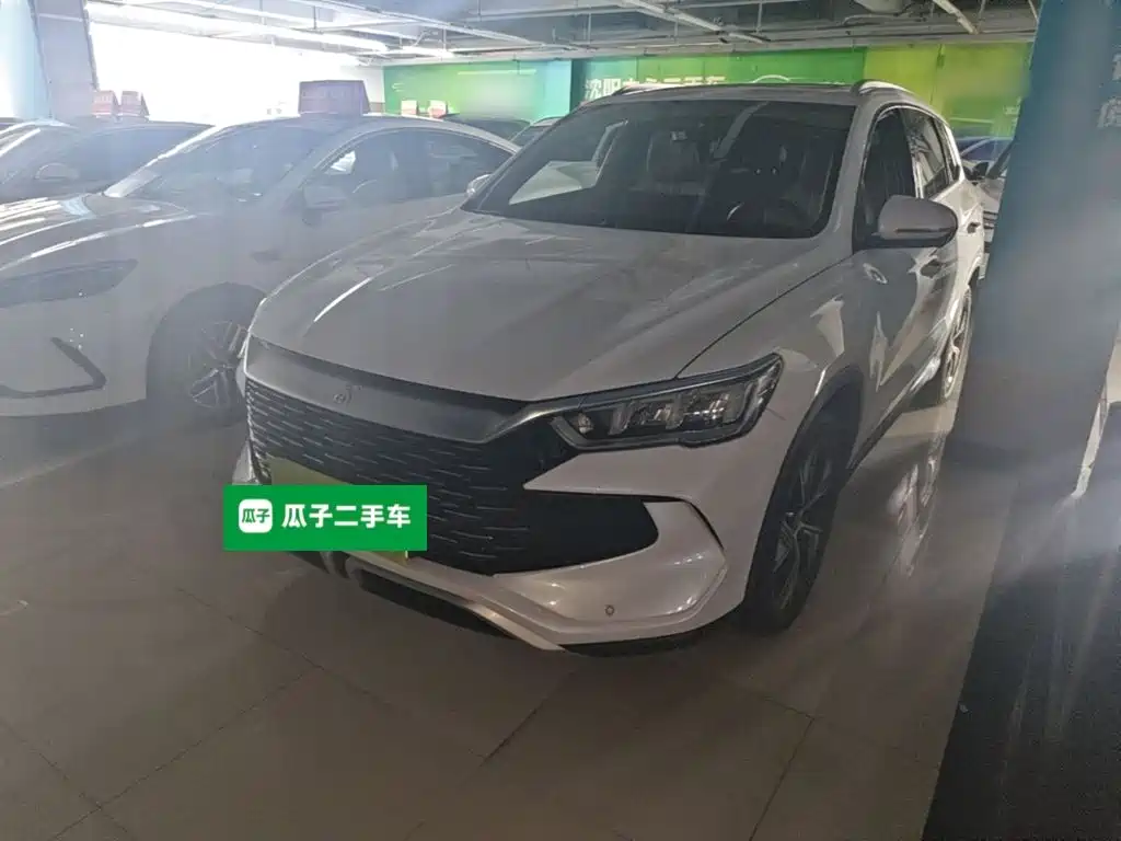 BYD Pro New Energy — миниатюра 2