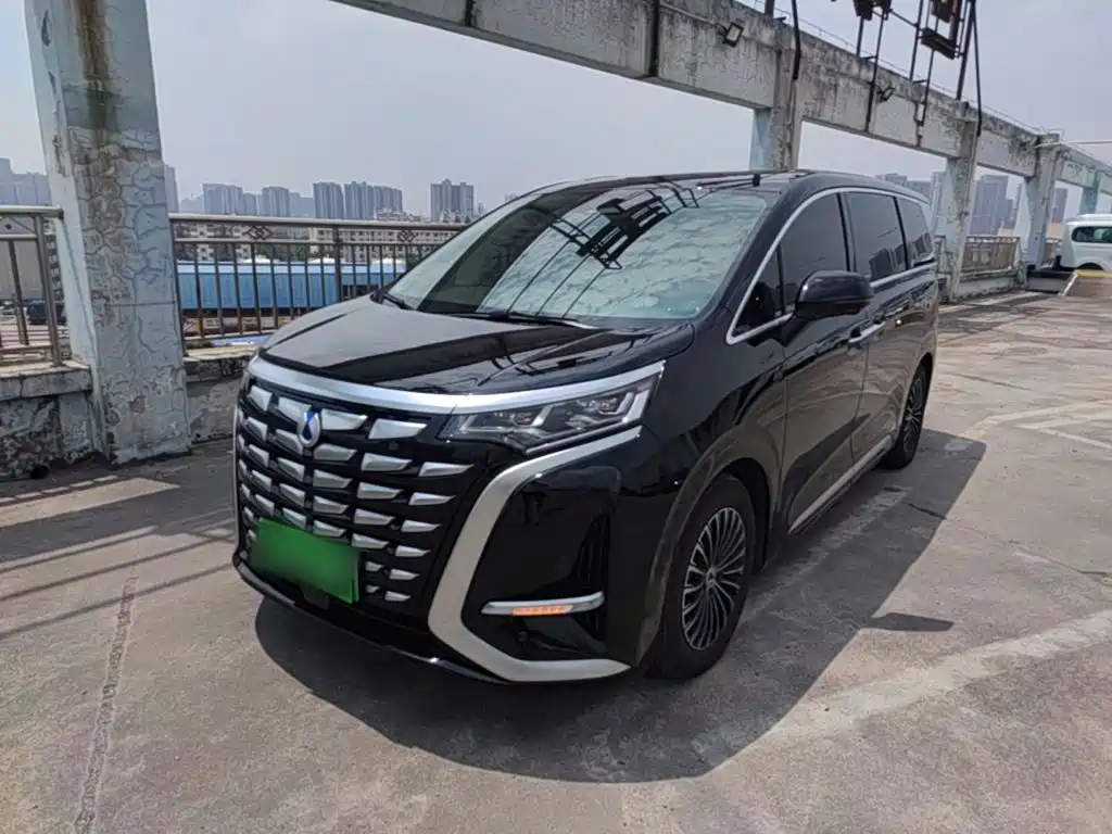 Denza Denza D9