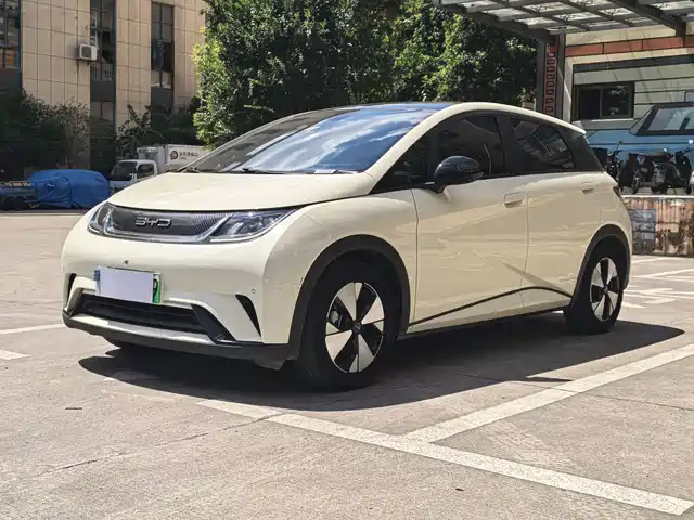 2023 BYD Dolphin