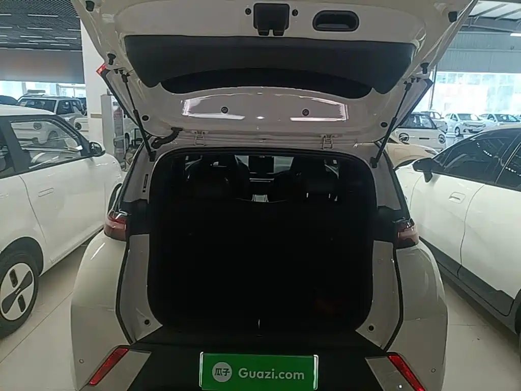 BYD Seagull — миниатюра 19