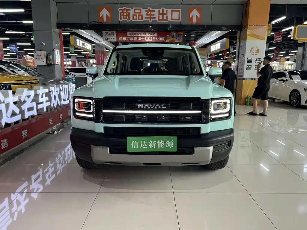 Haval Menglong New Energy — миниатюра 2