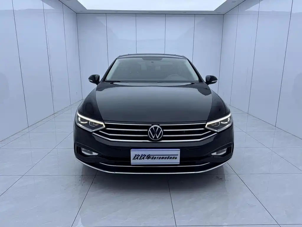 Volkswagen Magotan — миниатюра 2