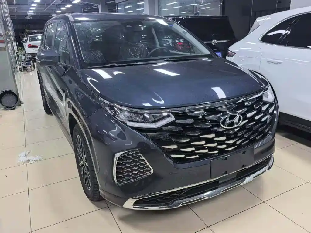 Hyundai Custo — миниатюра 4
