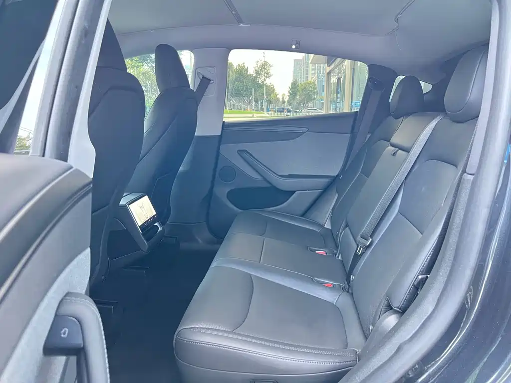 Tesla Model Y — миниатюра 10