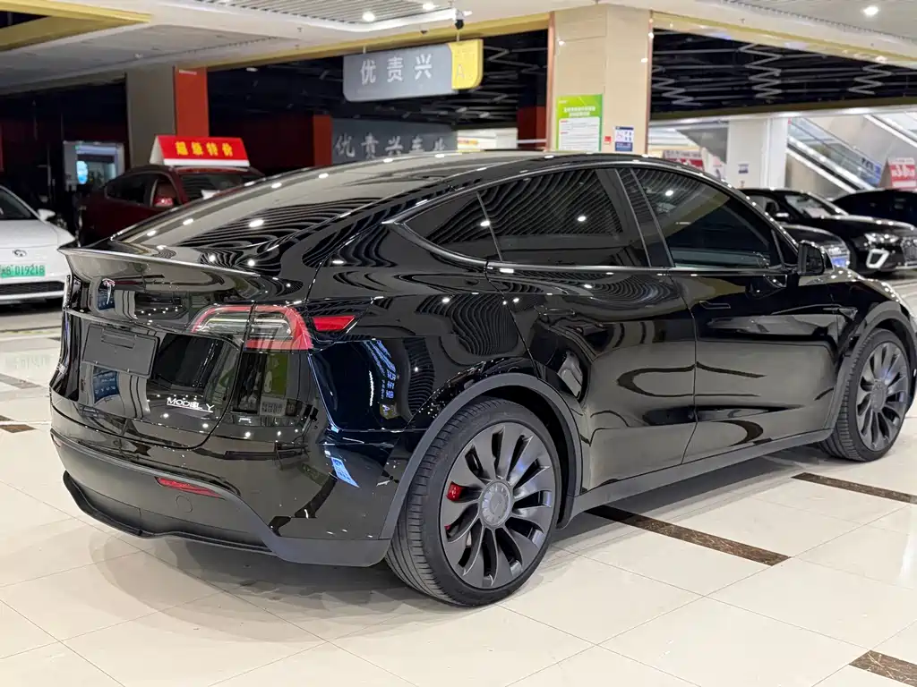 Tesla Model Y — миниатюра 9