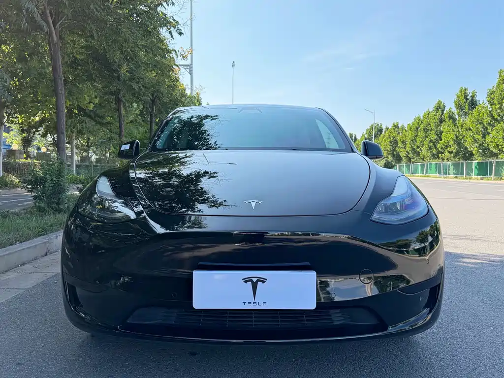 Tesla Model Y — миниатюра 2