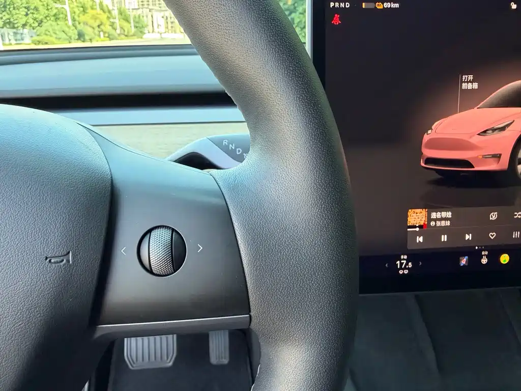 Tesla Model Y — миниатюра 9