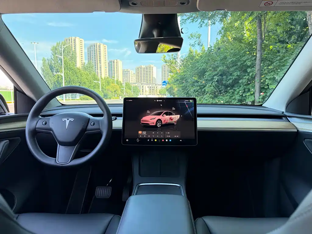 Tesla Model Y — миниатюра 11