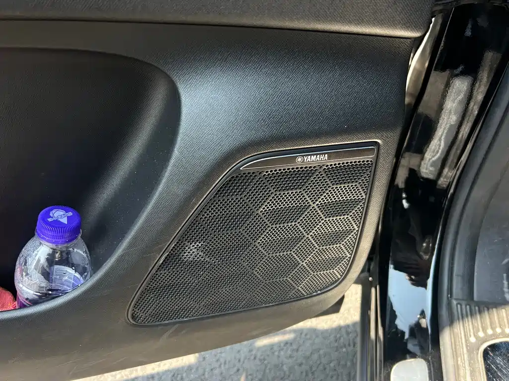 GAC Motor Trumpchi E9 — миниатюра 11