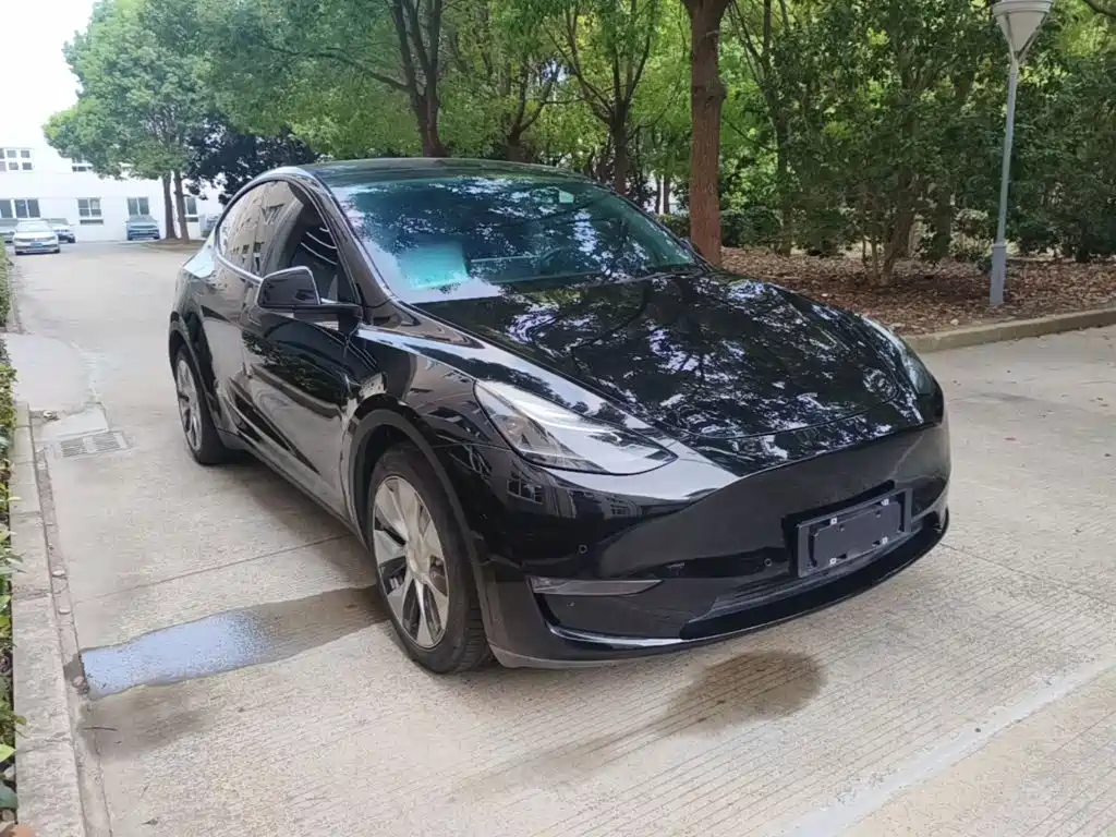 Tesla Model Y — миниатюра 4