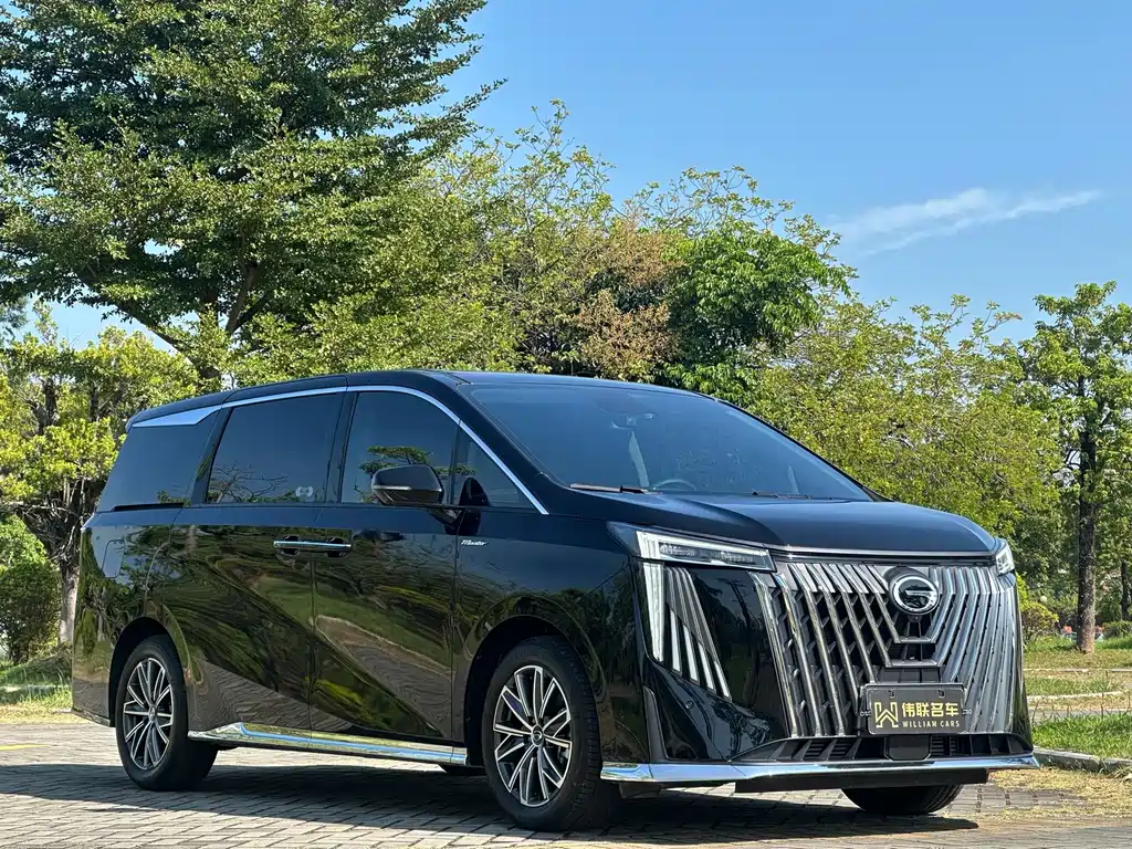 GAC Motor Trumpchi M8 — миниатюра 3