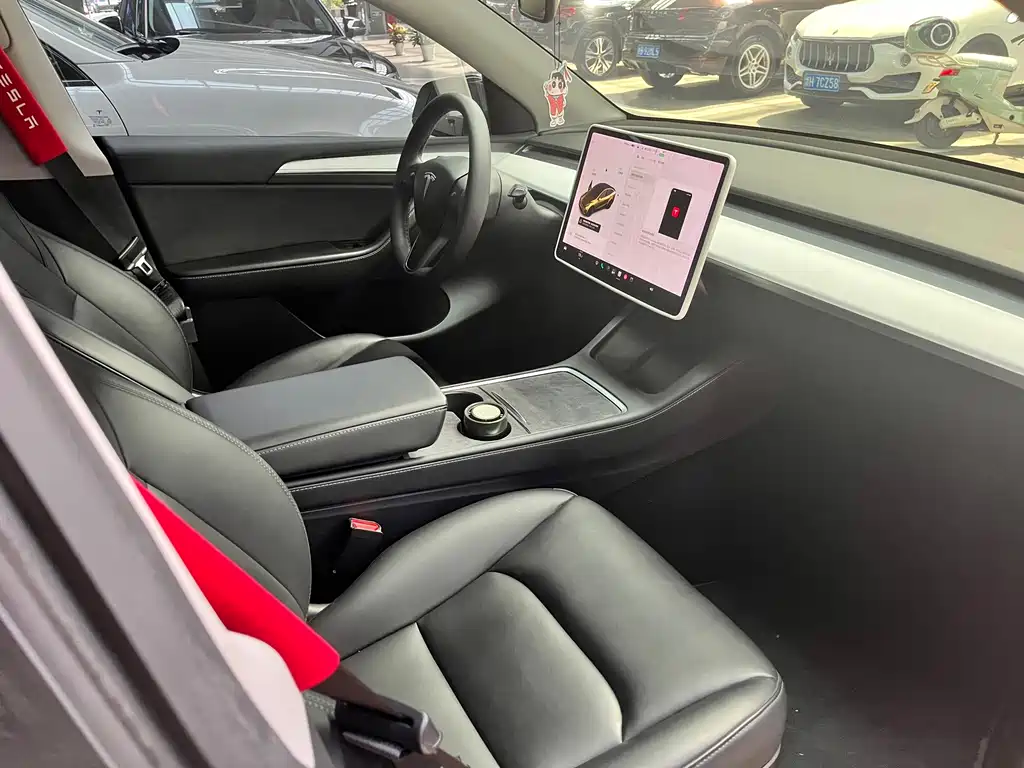 Tesla Model Y — миниатюра 5
