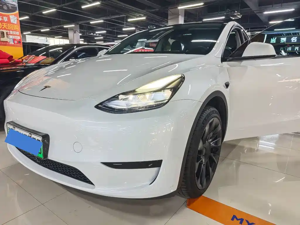 Tesla Model Y — миниатюра 13