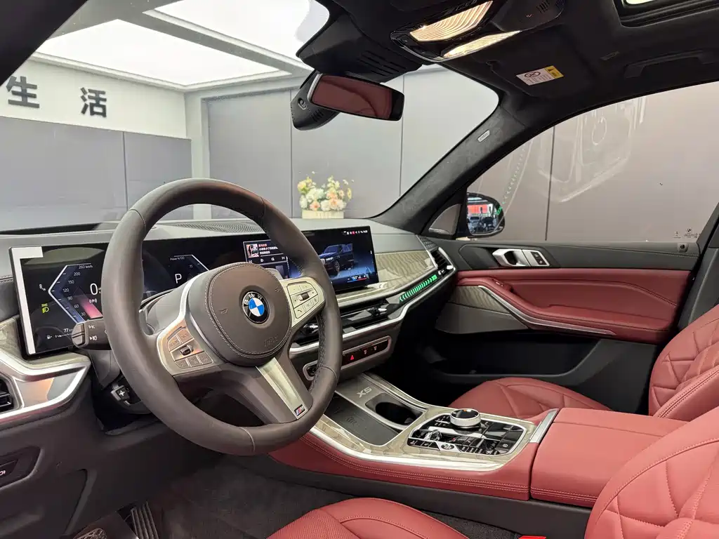 BMW X5 — миниатюра 4