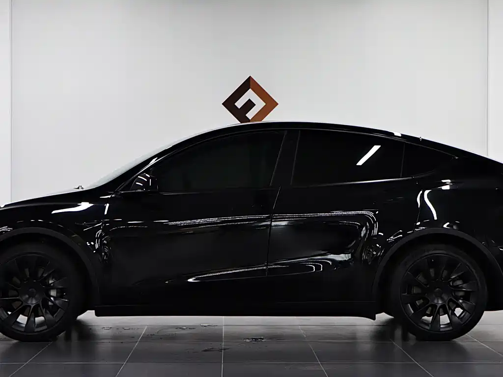 Tesla Model Y — миниатюра 7