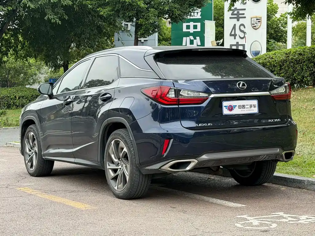 Lexus RX — миниатюра 4