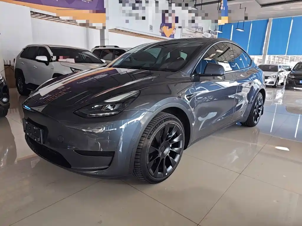 Tesla Model Y — миниатюра 2