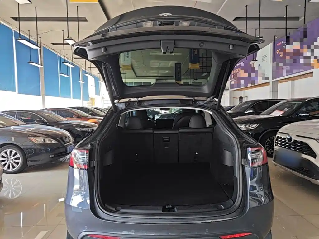 Tesla Model Y — миниатюра 19