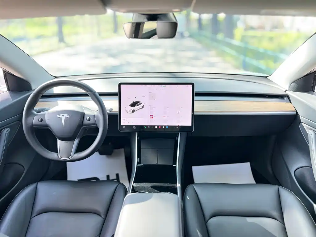 Tesla Model 3 — миниатюра 11