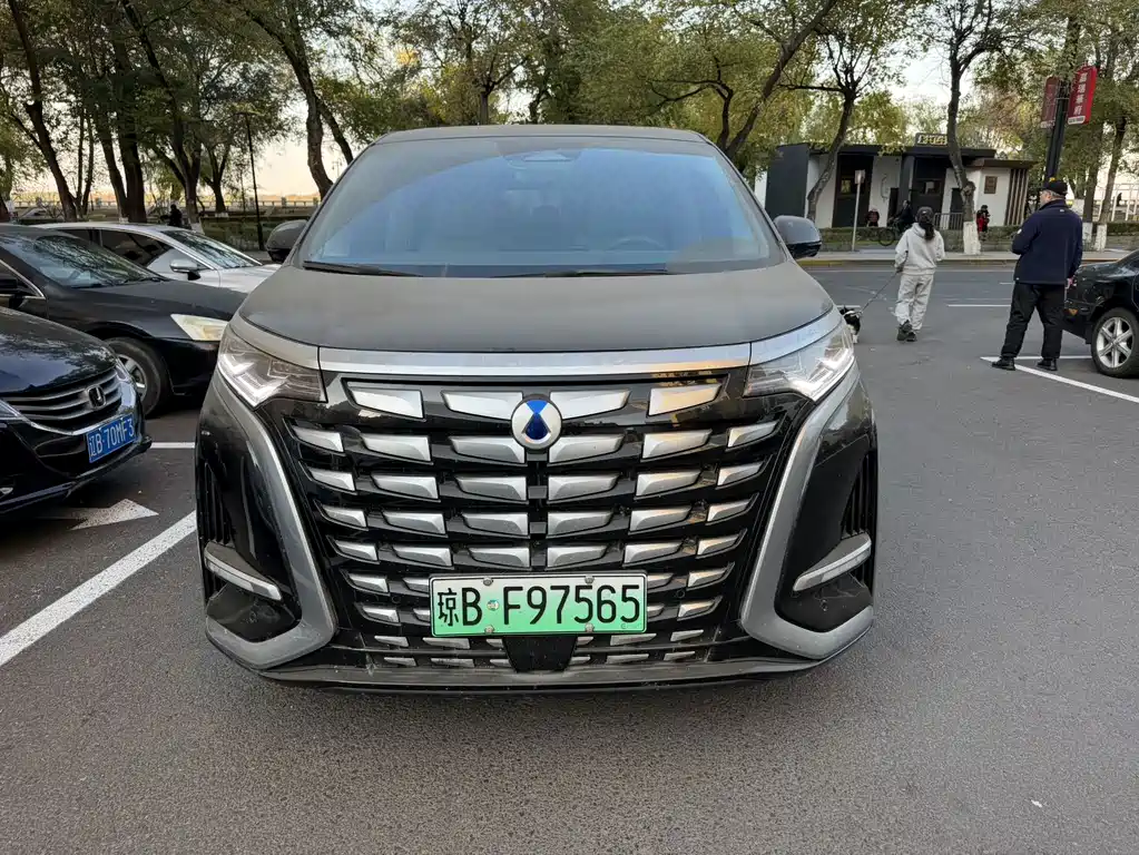 Denza Denza D9 — миниатюра 2