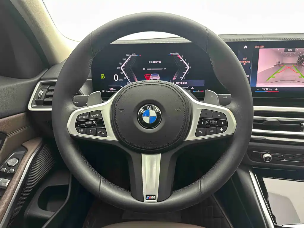 BMW 3 Series — миниатюра 17
