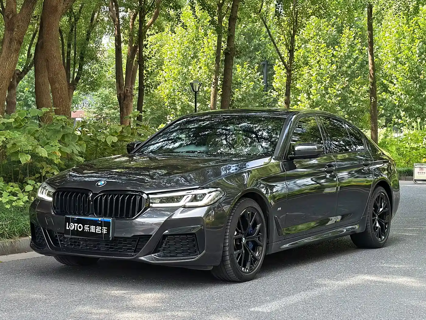 BMW 5 Series Import