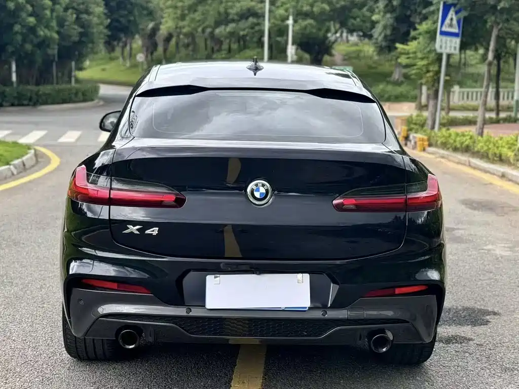 BMW X4 — миниатюра 5