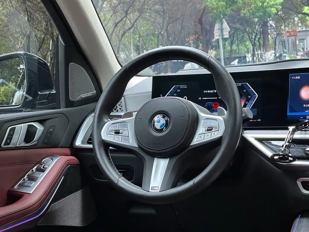 BMW X5 — миниатюра 14