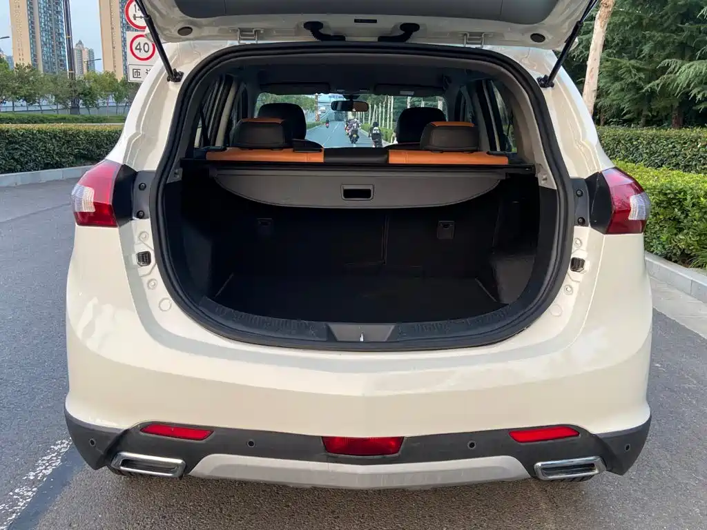 BAW Weiwang S50 — миниатюра 14