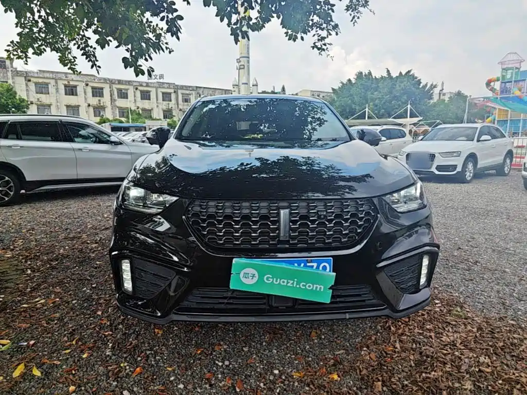 Wey Wey VV5 — миниатюра 3