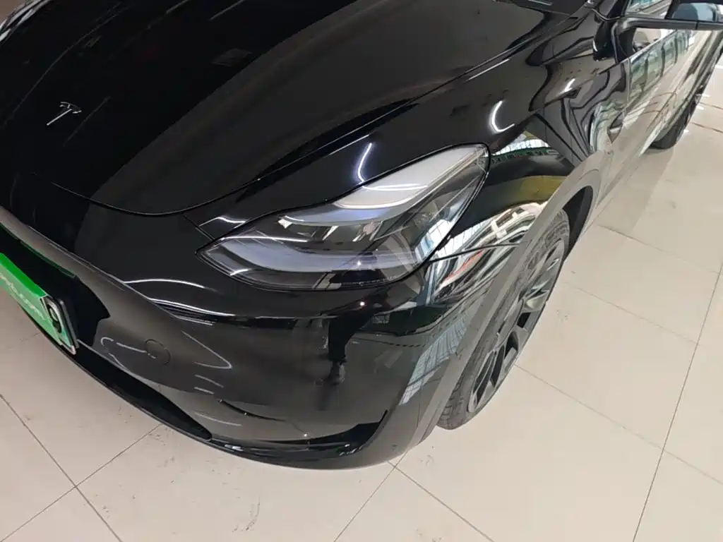 Tesla Model Y — миниатюра 24