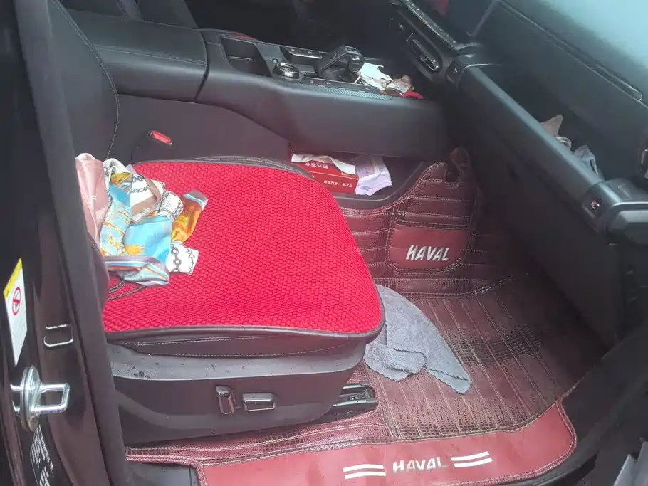 Haval Big Dog PLUS — миниатюра 8