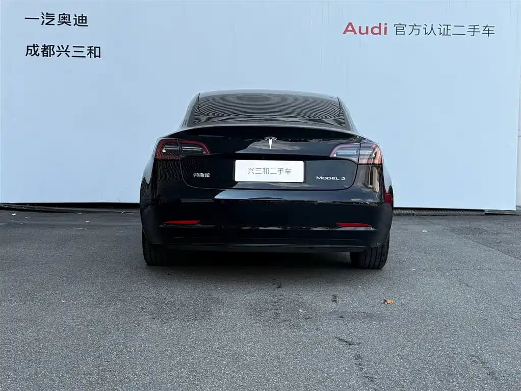 Tesla Model 3 — миниатюра 5