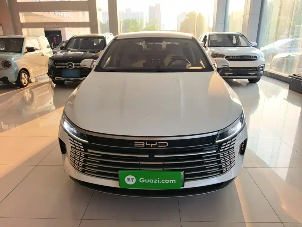 BYD Destroyer 05 — миниатюра 3