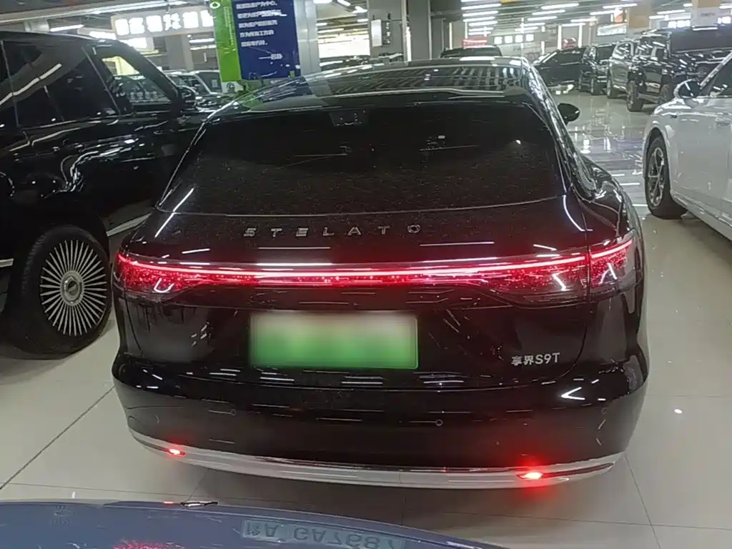 Наслаждайтесь. S9T. — миниатюра 6