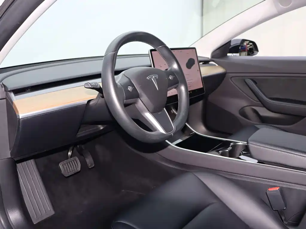 Tesla Model 3 — миниатюра 6