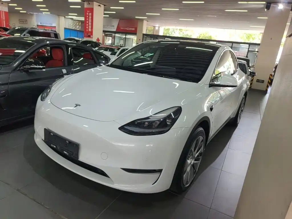 Tesla Model Y — миниатюра 2