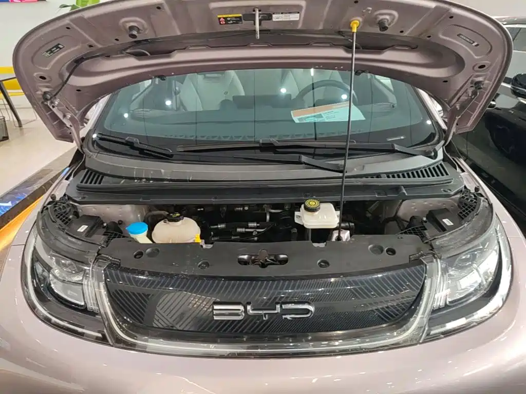 BYD Dolphin — миниатюра 20