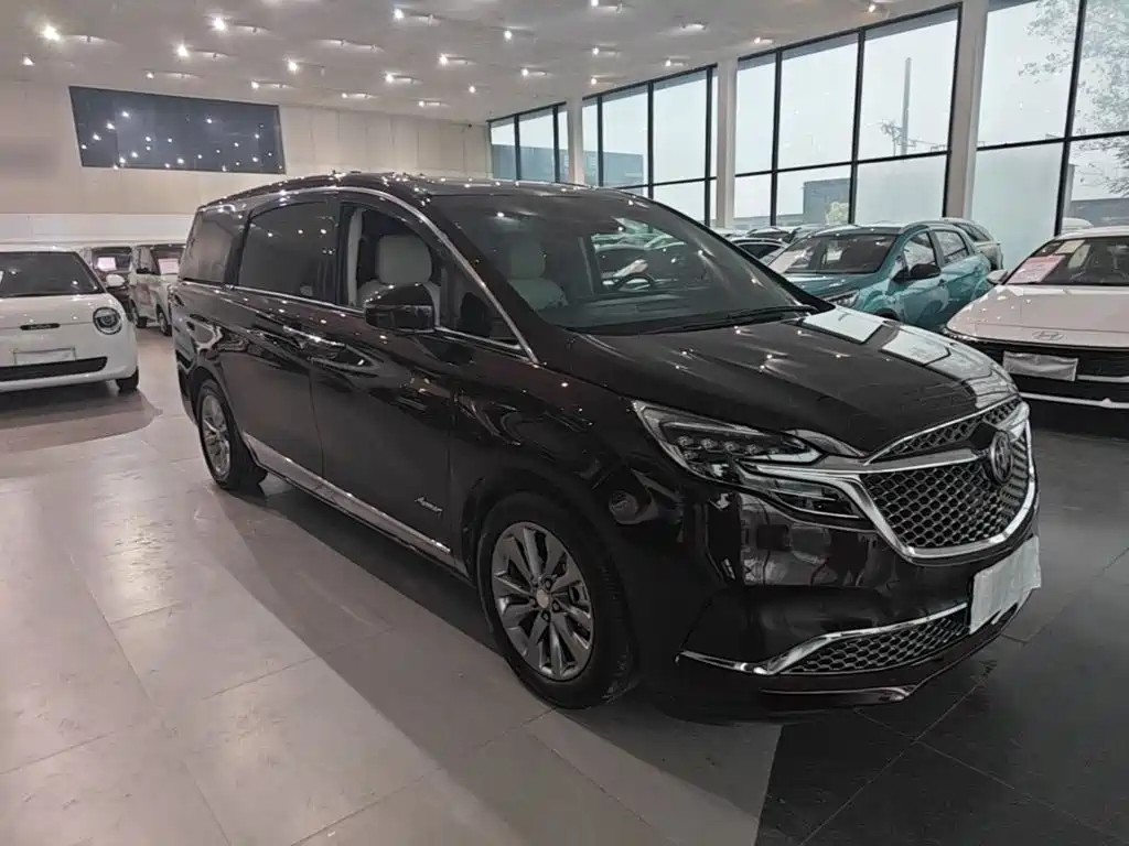 Buick GL8 — миниатюра 4