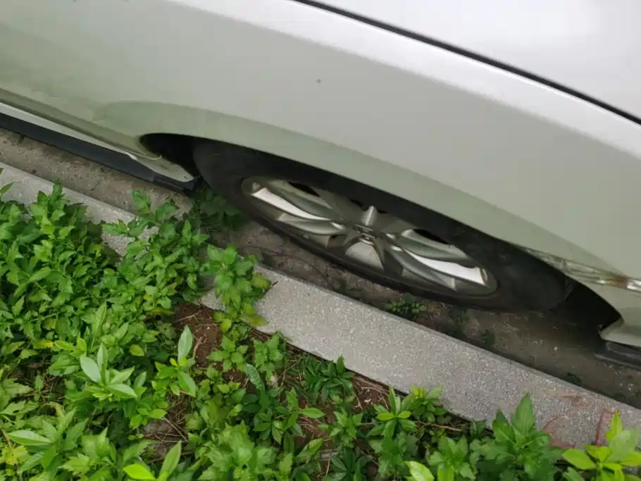 Honda Civic — миниатюра 6