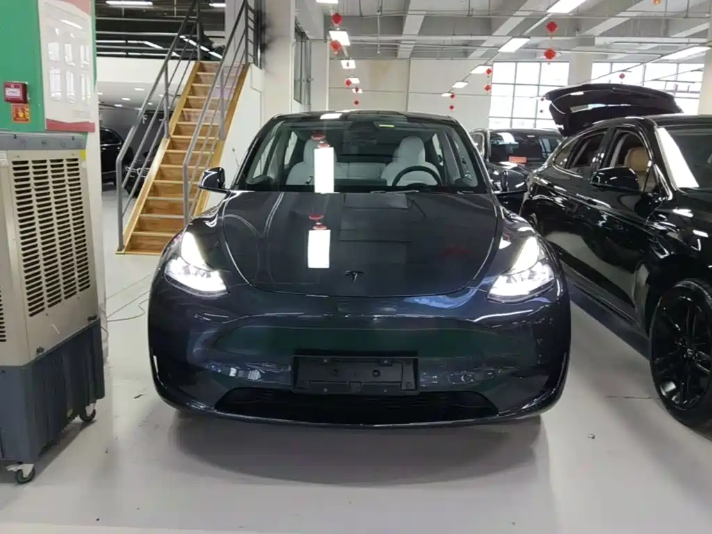 Tesla Model Y — миниатюра 3