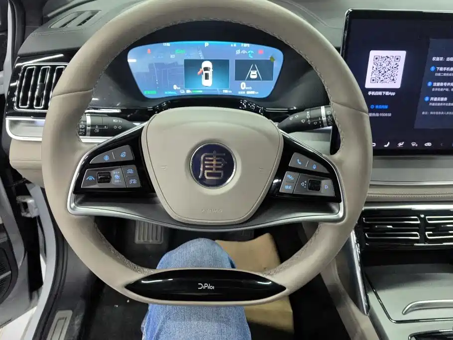 BYD Tang New Energy — миниатюра 15