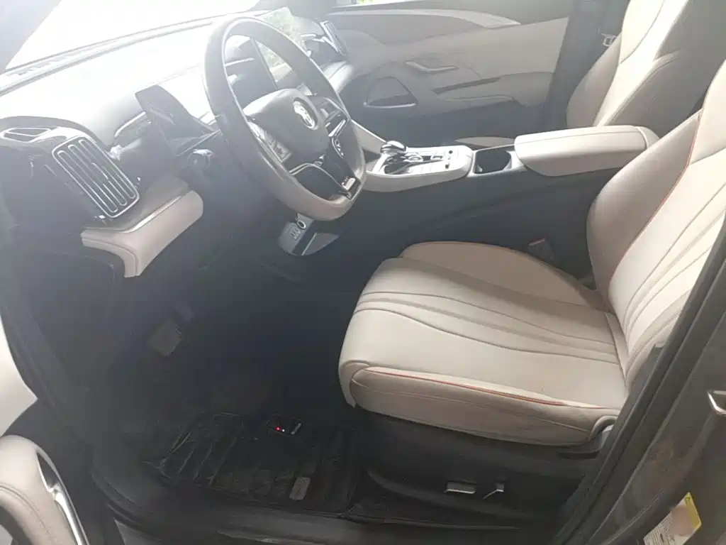 BYD Pro New Energy — миниатюра 15