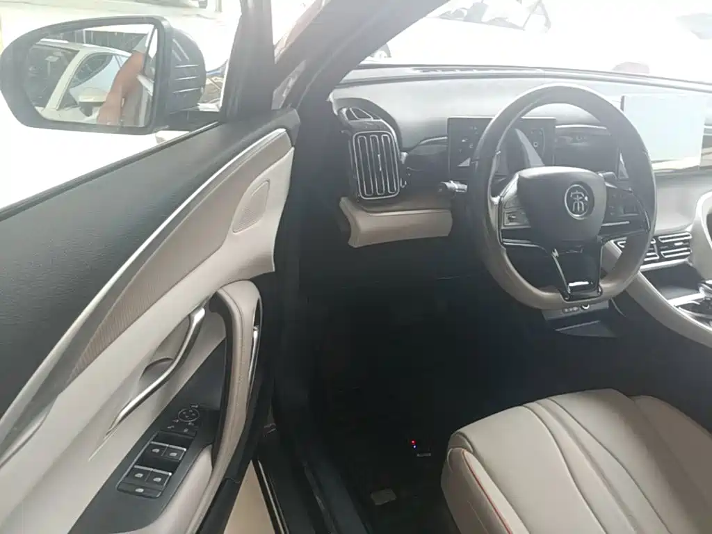 BYD Pro New Energy — миниатюра 16