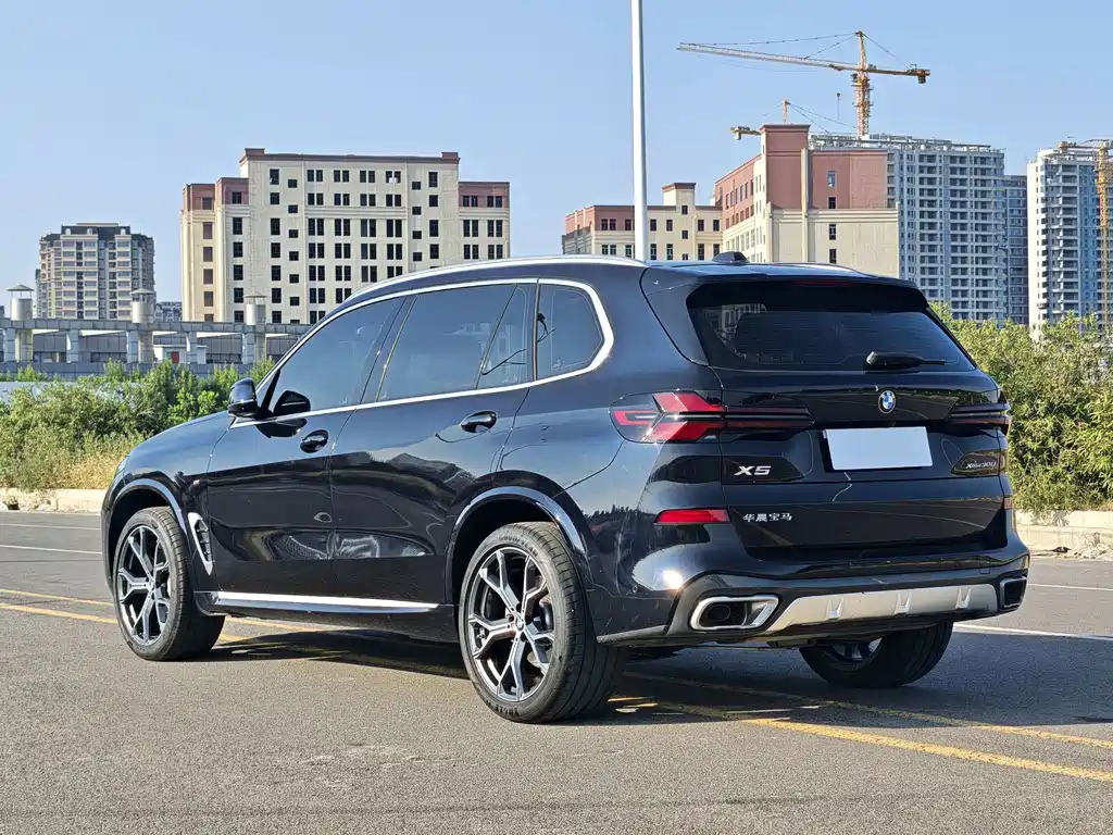 BMW X5 — миниатюра 9