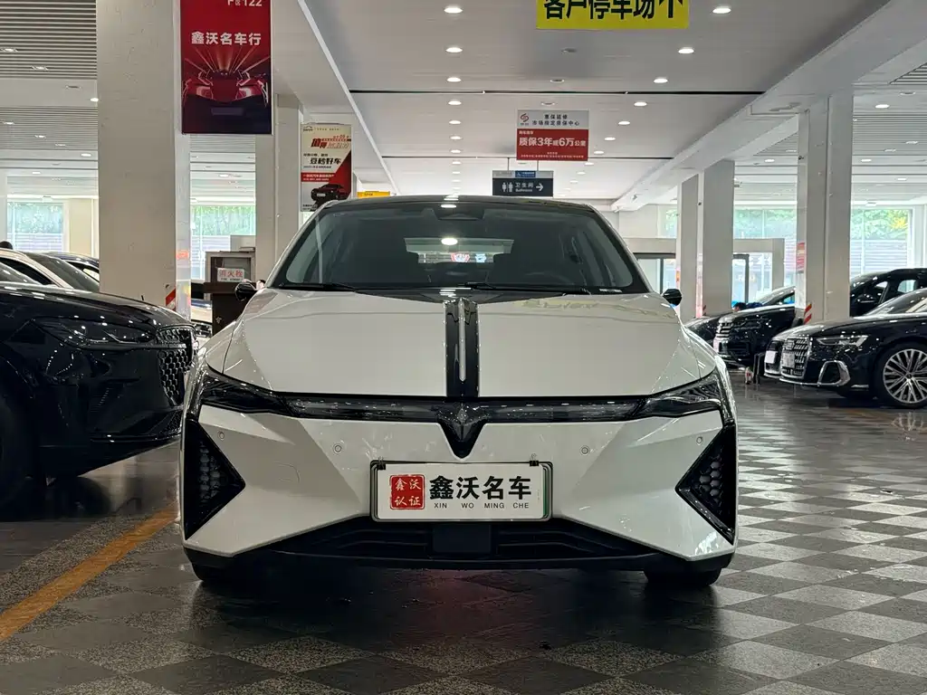 Lingxi Lingxi L — миниатюра 2